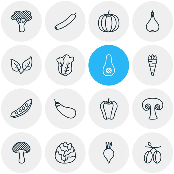 Ilustración vectorial de 16 iconos vegetales. Paquete editable de col china, calabacín, Mediterráneo y otros elementos . — Vector de stock