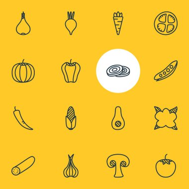 16 gıda simgeler vektör Illustration. Kabak, salatalık, pancar ve diğer öğeleri düzenlenebilir paketi.