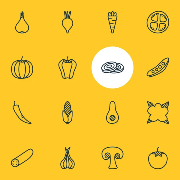 Ilustración vectorial de 16 iconos de la comida. Paquete editable de calabaza, pepino, remolacha y otros elementos . — Vector de stock