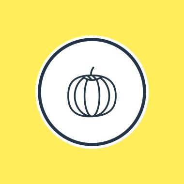 Kabak anahat vektör Illustration. Güzel yemek öğesi de kabak öğesi olarak kullanılabilir.