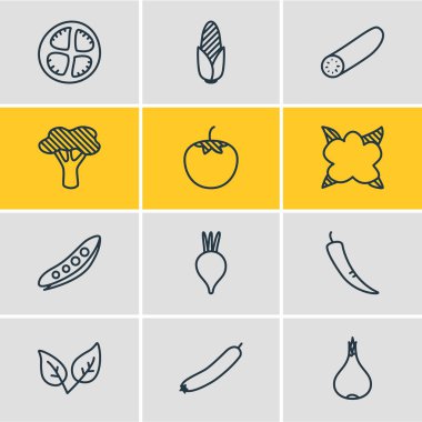 12 sebze simgeler vektör Illustration. Kabak, sarımsak, salatalık ve diğer öğeleri düzenlenebilir paketi.