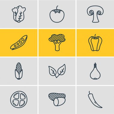 12 sebze simgeler vektör Illustration. Mısır, mantar, şalgam ve diğer öğeleri düzenlenebilir paketi.