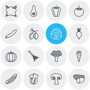 16 sebze simgeler vektör Illustration. Yeşil soğan, pancar, kabak ve diğer öğeleri düzenlenebilir paketi.