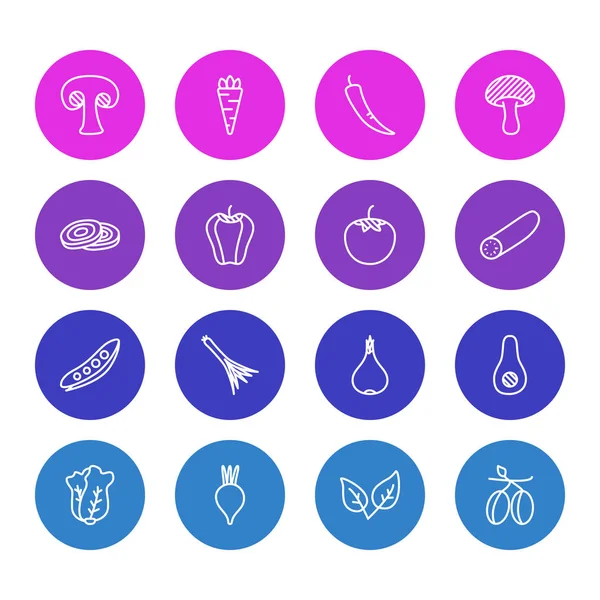 Vektorové ilustrace 16 ikon na jídlo. Upravitelné Pack houby, Středozemní, česneku a dalších prvků. — Stockový vektor