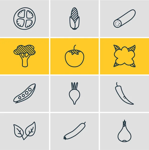 Vektorillustration av 12 grönsaker ikoner. Redigerbara förpackning med Zucchini, vitlök, gurka och andra element. — Stock vektor