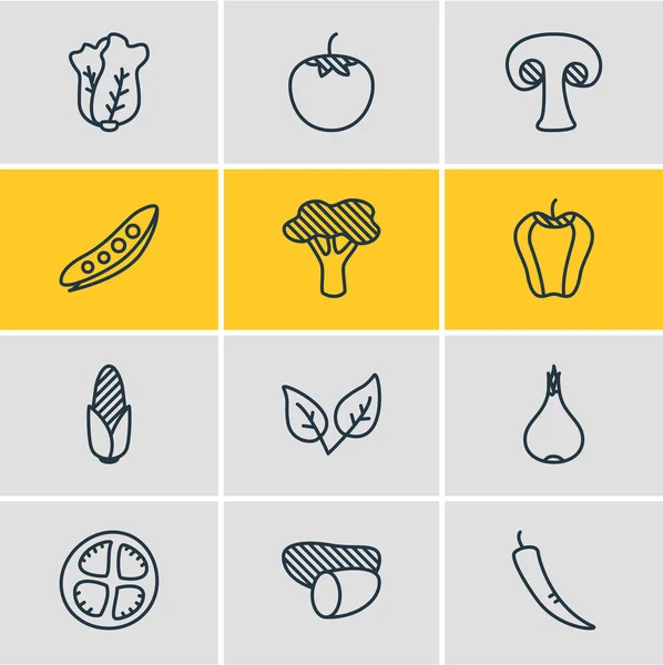 Ilustracja wektorowa warzywa 12 ikon. Edytowalne Pack kukurydzy, grzyby, rzepa i innych elementów. — Wektor stockowy