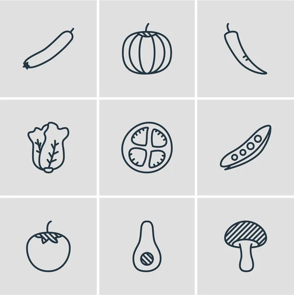 Ilustración vectorial de 9 iconos vegetales. Paquete editable de papaya, rodaja de tomate, calabaza y otros elementos . — Archivo Imágenes Vectoriales