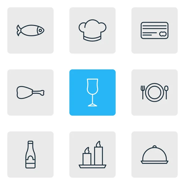 Ilustración vectorial de 9 iconos de la alimentación. Paquete editable de alcohol, tarjeta, bandeja y otros elementos . — Vector de stock