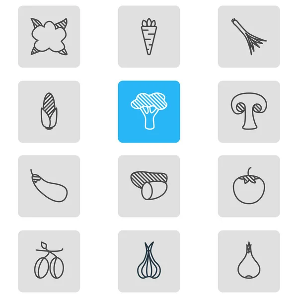 Ilustración vectorial de 12 iconos vegetales. Paquete editable de ajo, berenjena, maíz y otros elementos . — Vector de stock