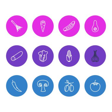 12 sebze simgeler vektör Illustration. Salatalık, mantar, baklagil ve diğer öğeleri düzenlenebilir paketi.