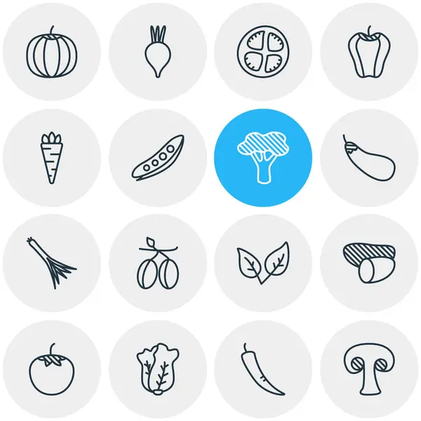 Illustrazione vettoriale di 16 icone alimentari. Pacchetto modificabile di melanzane, cavolo cinese, menta piperita e altri elementi . — Vettoriale Stock