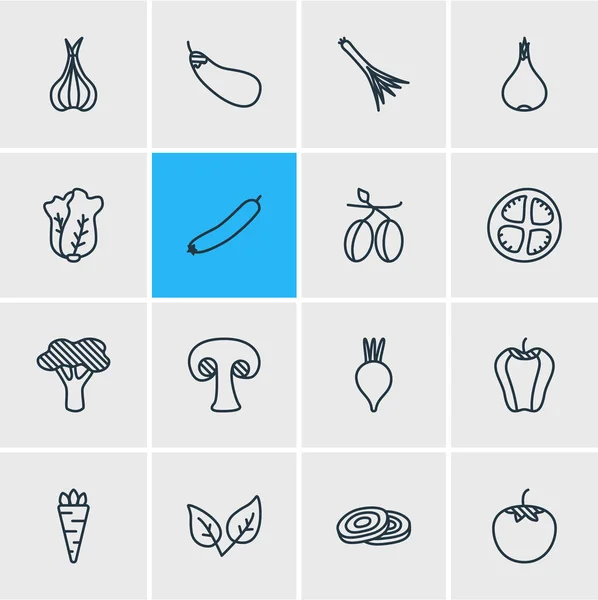 Ilustración vectorial de 16 iconos de la comida. Paquete editable de col china, verduras de raíz, calabacín y otros elementos . — Archivo Imágenes Vectoriales