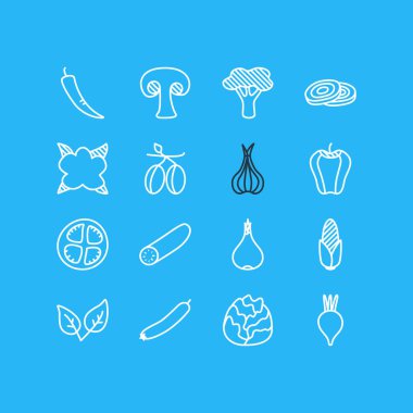 16 sebze simgeler vektör Illustration. Düzenlenebilir paket Sativum, pancar, daireler ve diğer öğeleri.