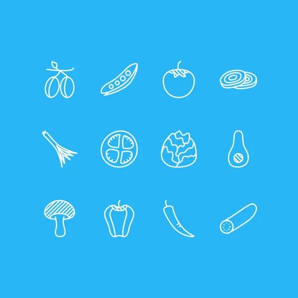 Ilustración vectorial de 12 iconos de la comida. Paquete editable de rodajas de tomate, pimiento dulce, ligamento y otros elementos . — Archivo Imágenes Vectoriales