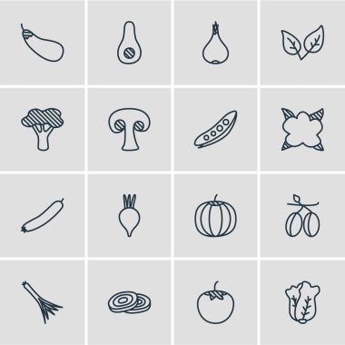 16 sebze simgeler vektör Illustration. Daireler, yeşil soğan, ağaç ve diğer öğeleri düzenlenebilir paketi.