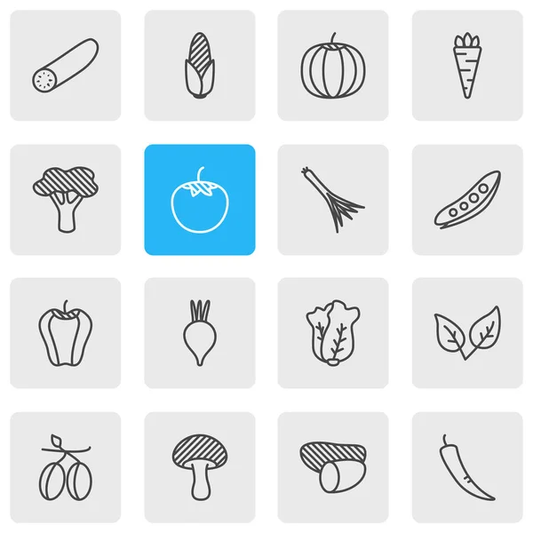 Ilustración vectorial de 16 iconos vegetales. Paquete editable de menta, pimentón, árbol y otros elementos . — Vector de stock