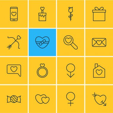 16 Amour anahat simgeler vektör Illustration. Kadın, ev, ok ve diğer öğeleri düzenlenebilir kümesi.