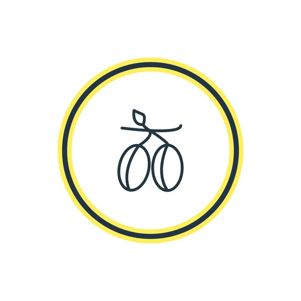 Illustrazione vettoriale della linea di icone delle olive. Bellissimo elemento alimentare può essere utilizzato anche come elemento mediterraneo . — Vettoriale Stock