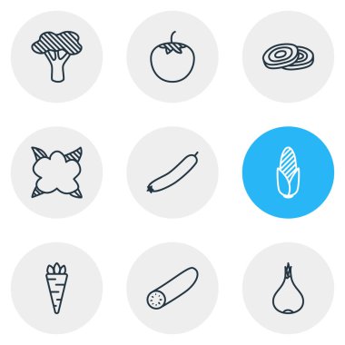9 gıda simgeler çizgi stili vektör Illustration. Kök sebze, karnabahar, salatalık ve diğer öğeleri düzenlenebilir kümesi.