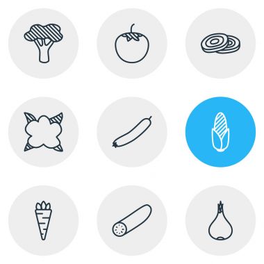 9 sebze simgeler çizgi stili Illustration. Kök sebze, karnabahar, salatalık ve diğer öğeleri düzenlenebilir kümesi.