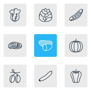 9 gıda simgeler çizgi stili Illustration. Lahana, Bulgar bell, zeytin ve diğer öğeleri düzenlenebilir kümesi.