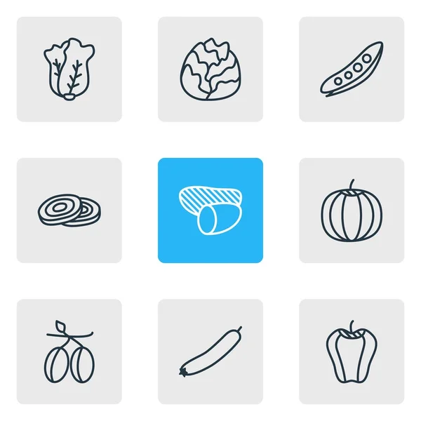 Ilustración de 9 iconos de comida estilo de línea. Conjunto editable de repollo, campana bulgara, aceitunas y otros elementos . — Foto de Stock
