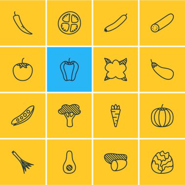 16 sebze simgeler çizgi stili vektör Illustration. Patlıcan, salatalık, yumru ve diğer öğeleri düzenlenebilir kümesi.