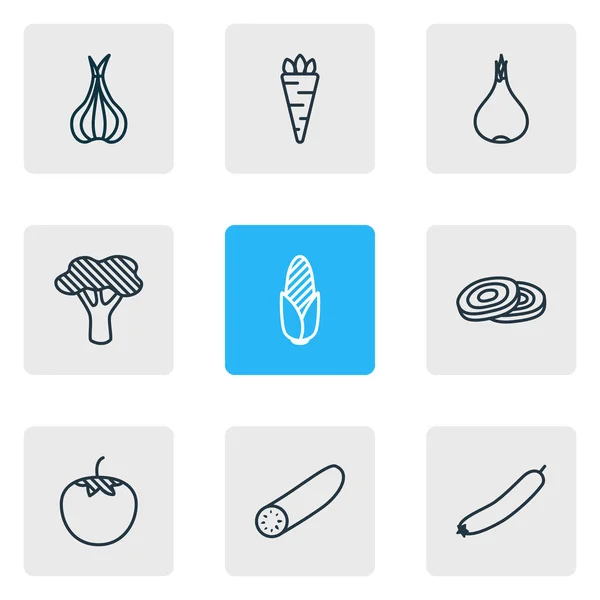 9 gıda simgeler çizgi stili vektör Illustration. Sarımsak, şalgam, kök sebze ve diğer simge öğeleri düzenlenebilir kümesi. — Stok Vektör