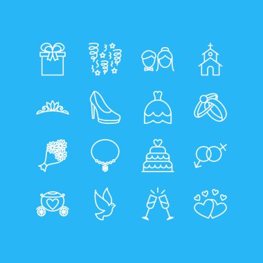 16 nişan simgeler çizgi stili vektör Illustration. Cinsiyet işaretler, vecize, şampanya ve diğer simge öğeleri düzenlenebilir kümesi.