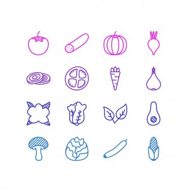 16 sebze simgeler çizgi stili vektör Illustration. Mantarlar, nane, soğan ve diğer simge öğeleri düzenlenebilir kümesi.
