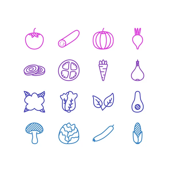 Illustration av 16 mat ikoner linjeformat. Redigerbara uppsättning svampar, spearmint, lök och andra ikonen element. — Stockfoto