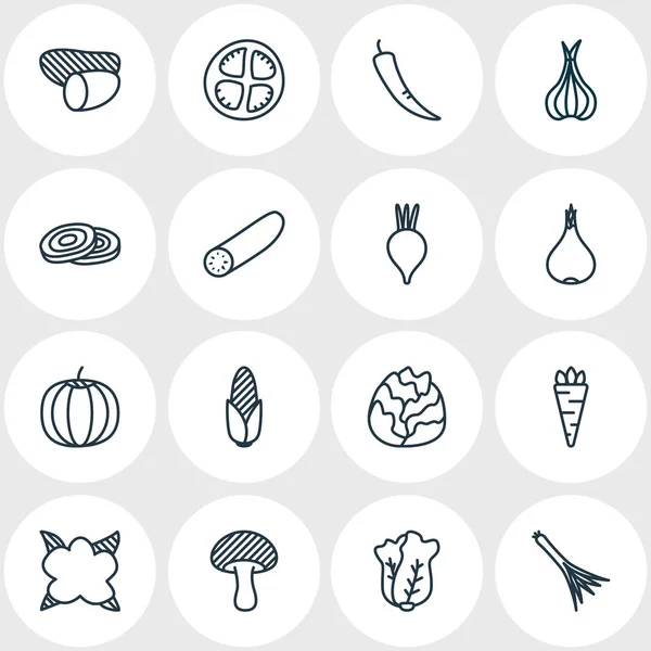 illustration of 16 food icons line style. Editable set of zucchini, chili, salad and other icon elements.