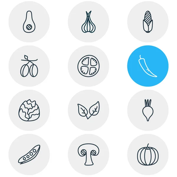 Illustration of 12 vegetables icons line style. Editable set of pea, chili, vegetable and other icon elements. — Stock Photo, Image