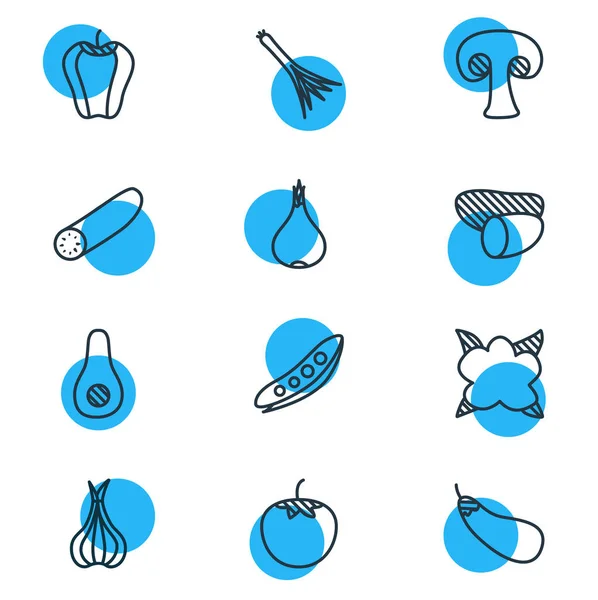 Ilustración vectorial de 12 iconos de comida estilo línea. Conjunto editable de tomate, berenjena, campana bulgara y otros elementos del icono . — Archivo Imágenes Vectoriales