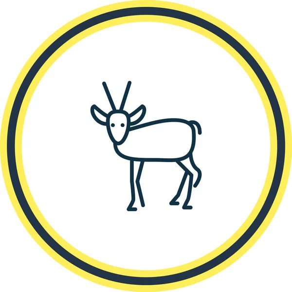 Ilustración vectorial de la línea de iconos del antílope. Hermoso elemento del zoológico también se puede utilizar como elemento icono gacela . — Vector de stock