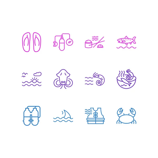 Illustratie van 12 nautische pictogrammen lijn stijl. Bewerkbare set van reddingsvest, zuurstofballonnen, teenslippers en andere pictogram elementen. — Stockfoto