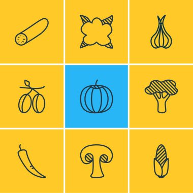 9 sebze simgesinin vektör çizimi. Düzenlenebilir zeytin seti, kabak, alyum ve diğer simge elementleri.