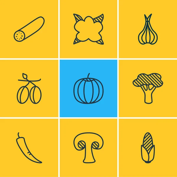 Ilustración de 9 iconos de verduras estilo de línea. Conjunto editable de aceitunas, calabacín, alium y otros elementos del icono . — Foto de Stock