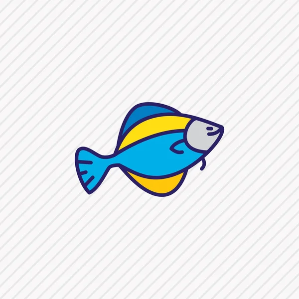 Illustration of flounder fish icon colored line. Beautiful maritime element also can be used as flatfish icon element. — Stock Photo, Image