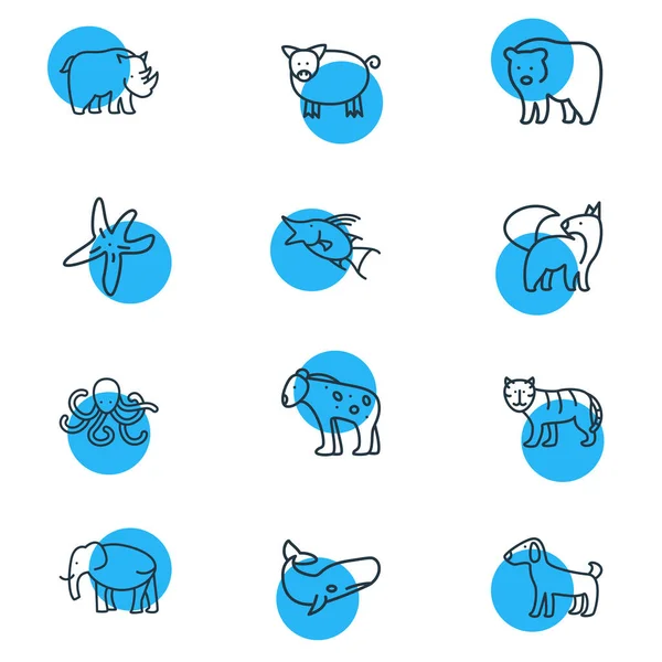 Vector illustratie van 12 dierentuin pictogrammen lijn stijl. Bewerkbare set van everzwijnen, beren, olifanten en andere pictogrammen. — Stockvector