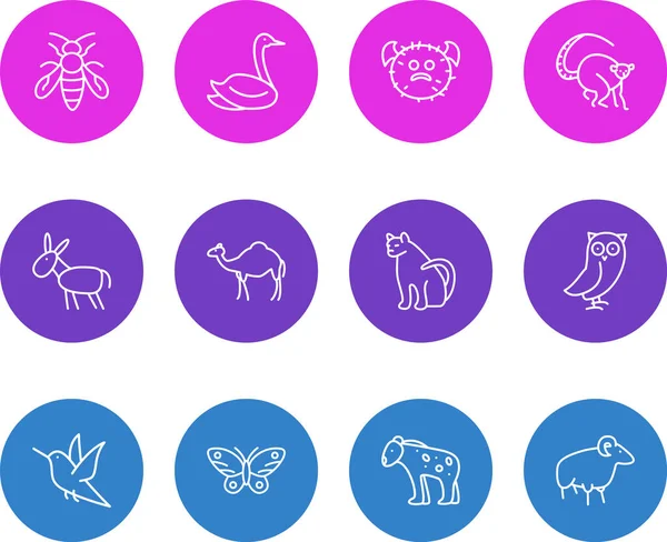 Illustration von 12 Zoosymbolen im Zeilenstil. Editierbares Set aus Schwan, Lemur, Pusteblume und anderen Symbolelementen. — Stockfoto