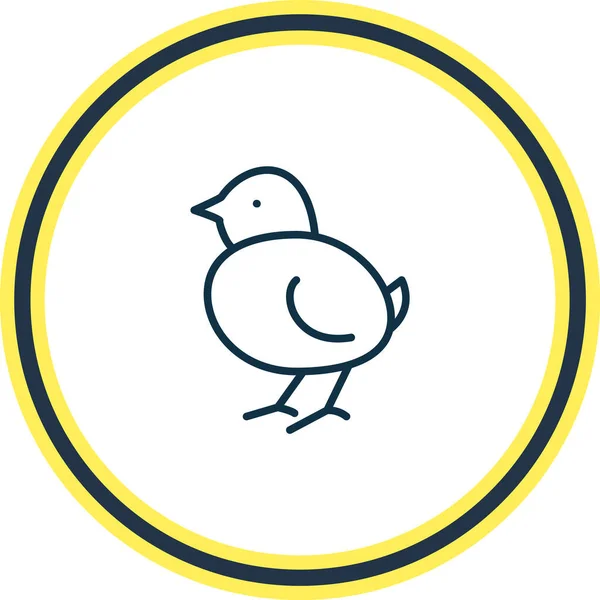 Illustration of poultry icon line. Beautiful zoo element also can be used as little chicken icon element. — Stock Photo, Image