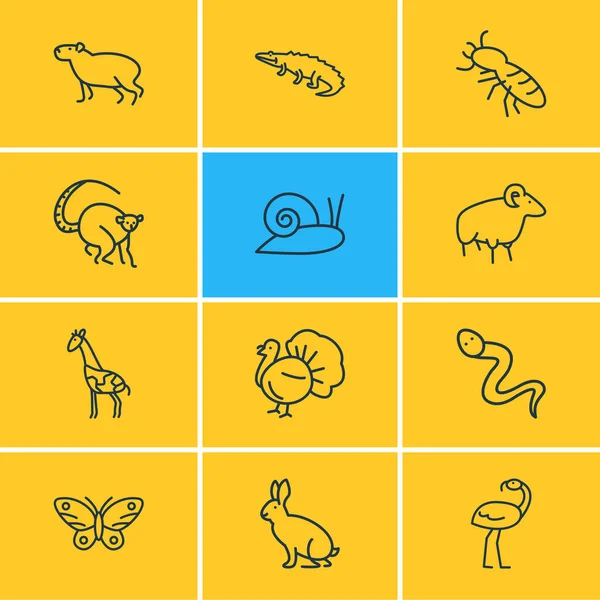 Ilustracja wektorowa 12 ikon zwierząt linii stylu. Edytowalny zestaw elementów termitowych, lemurów, motyli i innych elementów ikon. — Wektor stockowy