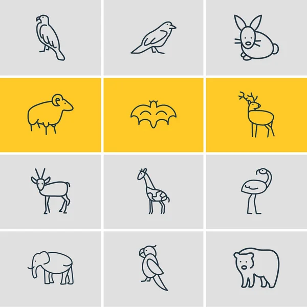 12 개의 동물원 아이콘 라인 스타일의 벡터 그림. 개똥지빠귀, 철새 까마귀, 코끼리 및 기타 상징물들의 집합. — 스톡 벡터
