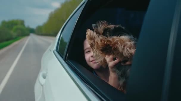 Meisje reizen met de auto, opent venster om frisse lucht van het platteland en hond te ademen — Stockvideo