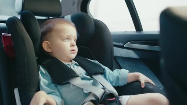 小さな男の子は車の中で安全椅子に乗る — ストック動画