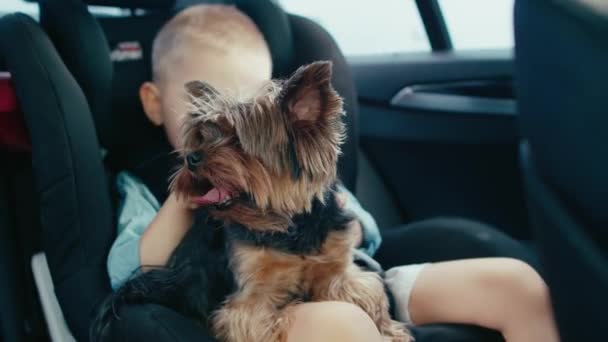 Мальчик и собака едут в машине — стоковое видео