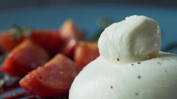 Detailní záběr nového koření posypaného lahodným bílým sýrem v bylinkách a zelenině — Stock video