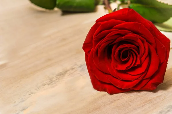 1 красная роза, лежащая на деревянном столе — стоковое фото