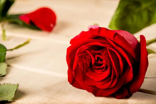 Фотография красной розы и лепестка розы на деревянном столе — стоковое фото